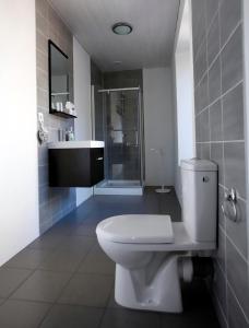 ein weißes Bad mit einem WC und einer Dusche in der Unterkunft Arara in Montfaucon-dʼArgonne