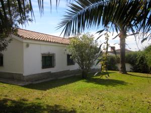 A garden outside Casa Playa