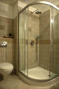 a bathroom with a shower and a toilet at Szekszárd Szálló in Szekszárd