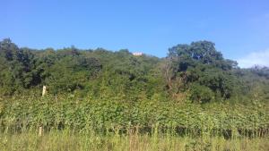 Paesaggio naturale nelle vicinanze dell'affittacamere