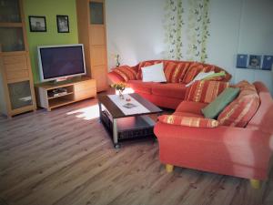 sala de estar con 2 sofás y TV en Grooten Wiebkings, en Schneeren