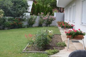 Fotografie z fotogalerie ubytování Pension Weinberg v destinaci Mörbisch am See + 8 fotografií