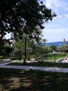a park with a tree and a sidewalk and the ocean at Apartman Tatjana in Sutomore
