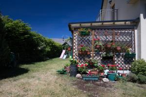 Zahrada ubytování Villa Przy Plazy w Trzesaczu