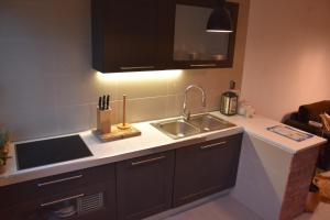 Kuchyň nebo kuchyňský kout v ubytování Đeni luxury apartment