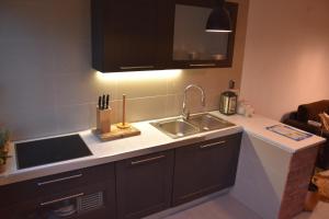 Kuchyňa alebo kuchynka v ubytovaní Đeni luxury apartment + 37 fotografií