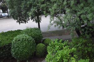 Príroda v okolí apartmánu