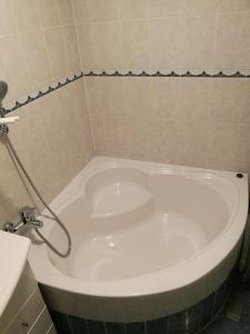 Apartman Paula في بيوغراد نا مورو: حوض استحمام في حمام مع دش