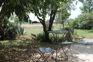 una mesa y dos sillas sentadas bajo un árbol en Le Mas De La Seuve, en Richerenches