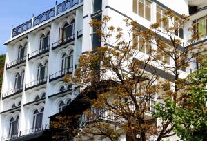 a white building with a tree in front of it at The Three Oaks Boutique Hotel in Mussoorie