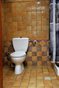 a bathroom with a toilet in a tiled wall at Nina Areti in Skiathos