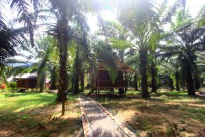 a small hut in a field with palm trees at Khao Sok Palmview Resort in Khao Sok