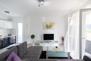 TV a/nebo společenská místnost v ubytování Green Paradise Apartments