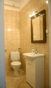 Baltica Apartament في غدانسك: حمام مع مرحاض ومغسلة ومرآة