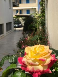 Foto dalla galleria di Hotel Teti a Torre Mozza