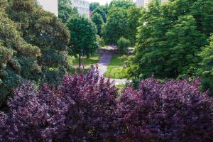 En have udenfor Nexus Vendégház Szeged + 36 billeder