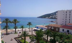 a beach with palm trees and palm trees at Hostal Yebisah in Santa Eularia des Riu