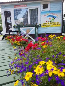 a flower garden on the front porch of a flower shop at Poilsiavietė Mano Maljorka in Šventoji