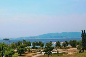 a view of the water with trees in the foreground at Maria Studios in Neo Klima