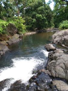 a river with white water and rocks and trees at Ti Plèn Kréol in Pointe-Noire