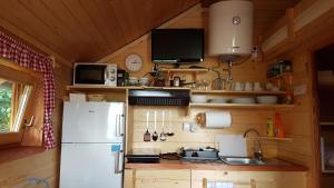 eine Küche mit einem Kühlschrank und einem Waschbecken in einer Hütte in der Unterkunft Gnezdo Vid-ik in Čatež ob Savi