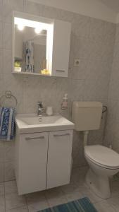 Koupelna v ubytování Apartman Kursar