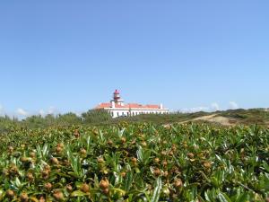 Gallery image of BLUE GUIDE Milfontes in Vila Nova de Milfontes