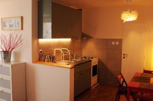 a kitchen with a sink and a stove at Panorama Prague Castle in Prague