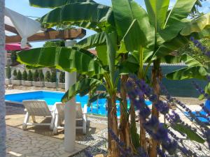 Gallery image of Holiday Home ZEN in Fažana