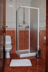 a bathroom with a shower and a toilet at Hotel Zvezda in Murska Sobota