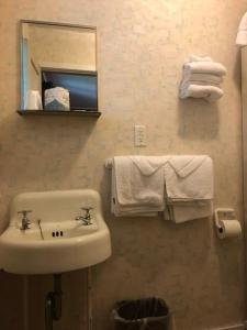 ein Badezimmer mit einem Waschbecken, einem Spiegel und Handtüchern in der Unterkunft Catskill Motor Court in Catskill