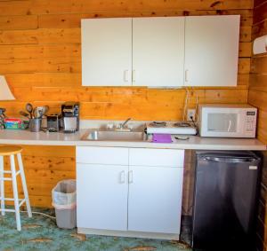 Kuchyň nebo kuchyňský kout v ubytování Homer Floatplane Lodge