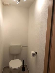 uma casa de banho com um WC e um rolo de papel higiénico em GottwaldHaus - Apartment em Brand-Erbisdorf
