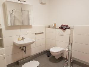 La salle de bains blanche est pourvue de toilettes et d'un lavabo. dans l'établissement Ferienoase, à Pirna