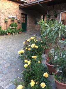 Gallery image of Ferme BROCART in Bouvines