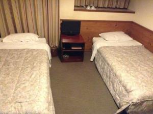 a hotel room with two beds and a television at Pension Roku in Hakuba