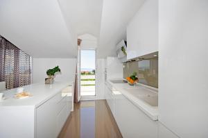 Kuchyňa alebo kuchynka v ubytovaní Luxury penthouse Eva