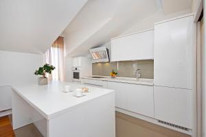 Kuchyňa alebo kuchynka v ubytovaní Luxury penthouse Eva