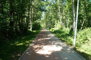 Príroda v okolí apartmánu