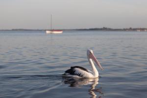Paesaggio naturale nelle vicinanze del bed & breakfast