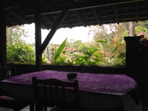 a purple table in a room with a window at Dhangin Taman in Tirtagangga