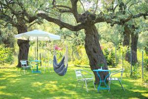 a hammock hanging from a tree in a park at The Olive Garden in Limenas