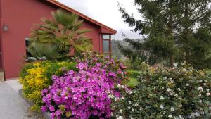 Zahrada ubytování Casa de Sabela