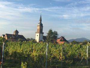 a building with a clock tower on top of a vineyard at La Parenthese in Gertwiller