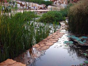 a garden with a pond with rocks and grass at Zimmer In The Garden in Karmiel