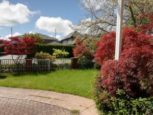 un patio con arbustos rojos y una valla en Lido Family Guest House, en Richmond