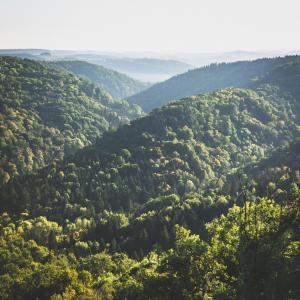 Příroda nedaleko penzionu – hostince