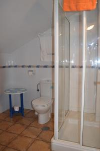 een badkamer met een toilet en een glazen douche bij La Casona de Quintes in Quintes