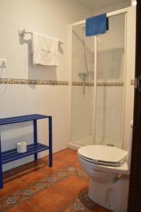 een badkamer met een toilet en een douche bij La Casona de Quintes in Quintes