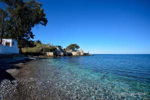 a beach with water and trees on the shore at Domus Mea in Trabia